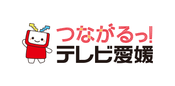 株式会社テレビ愛媛